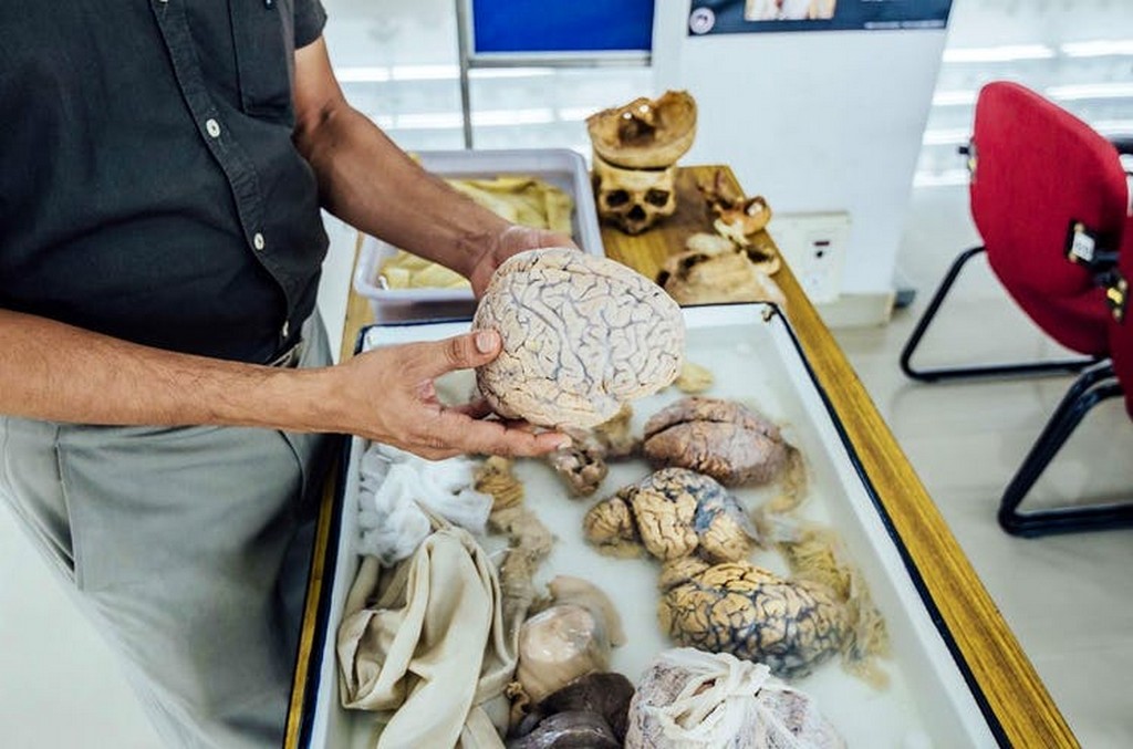 Bengaluru’s First Brain Museum 