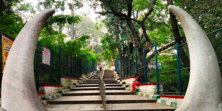   Lumbini Gardens