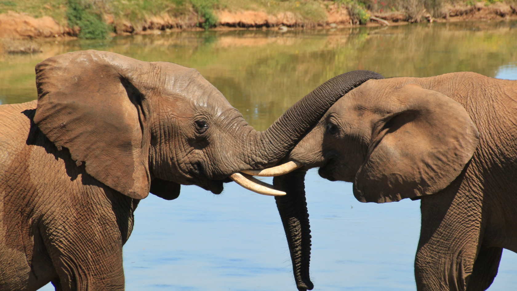 Ushakothi (Badrama) Wildlife Sanctuary