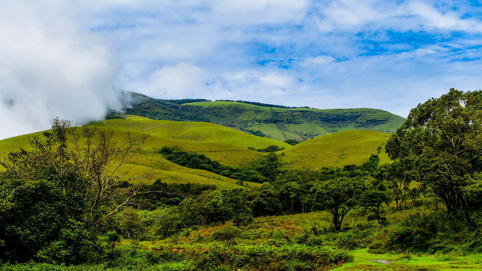 Karnataka Rainy Season Retreats: Monsoon Magic Top 10 Hidden Gems of Explore