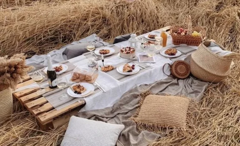 How To Set Up Your Picnic Spot For A Picturesque Appeal