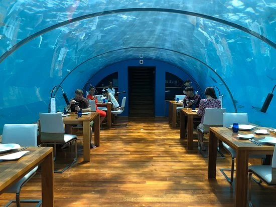 Unique Bar Designs