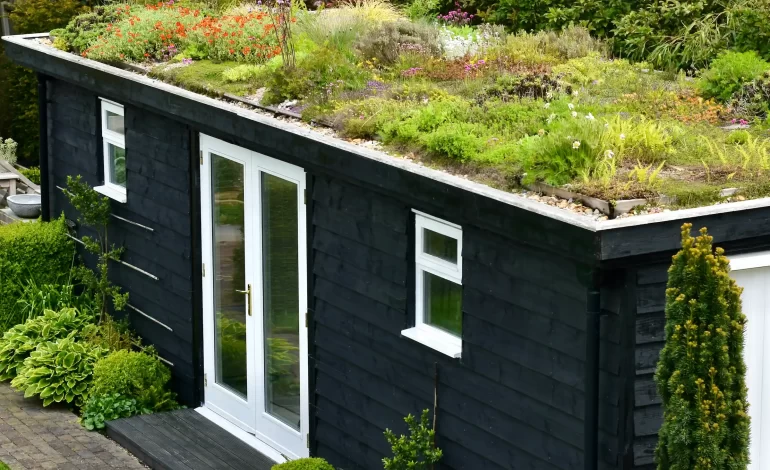 Green Roofs And How They’re Transforming Urban Buildings