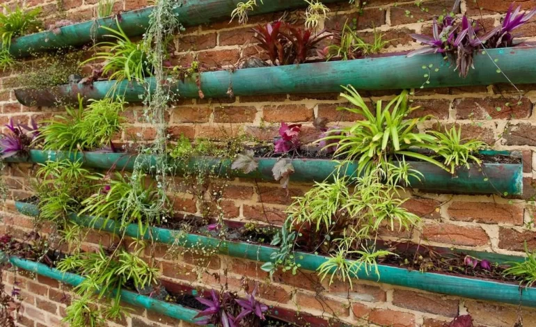 How To Create A Stylish And Sustainable Garden At Home