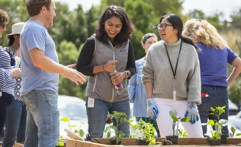 A Guide to Creating A Stylish And Sustainable Office Garden