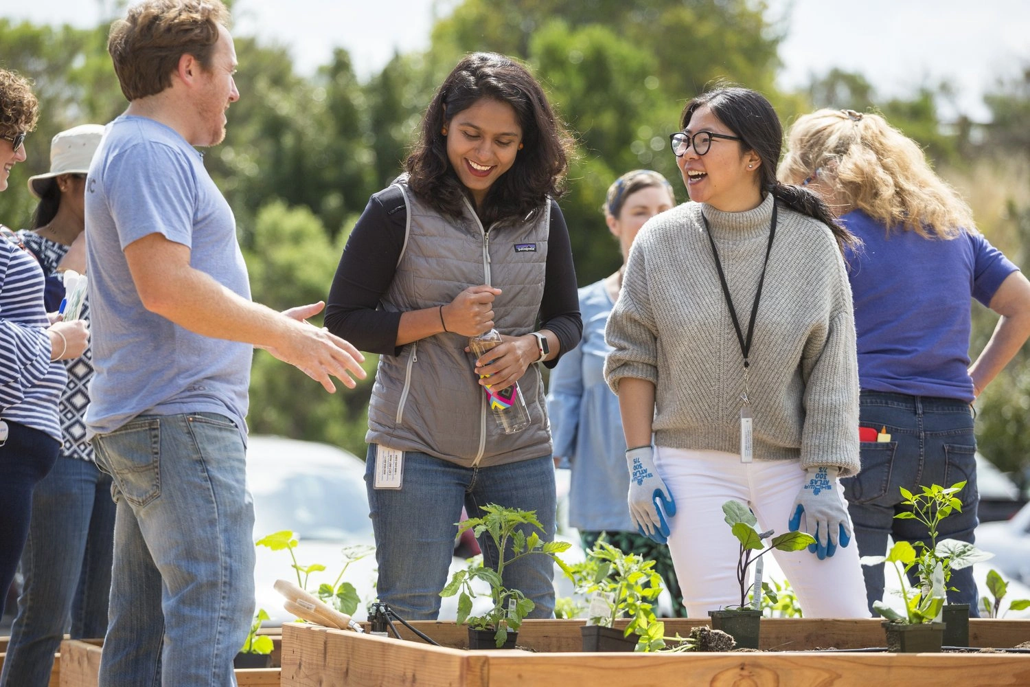 A Guide to Creating A Stylish And Sustainable Office Garden