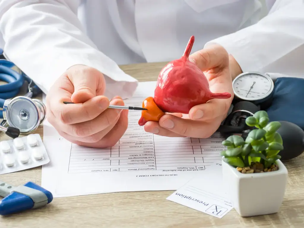 Prostate Health: What Every Man Needs To Know For Better Well-Being