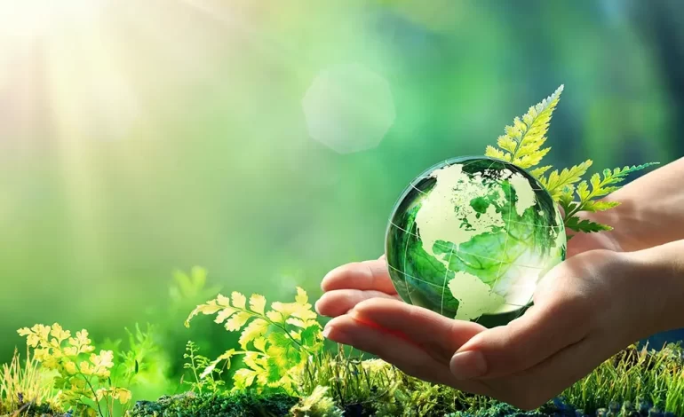 Top Alternatives To Save Natural Resources In Real Estate