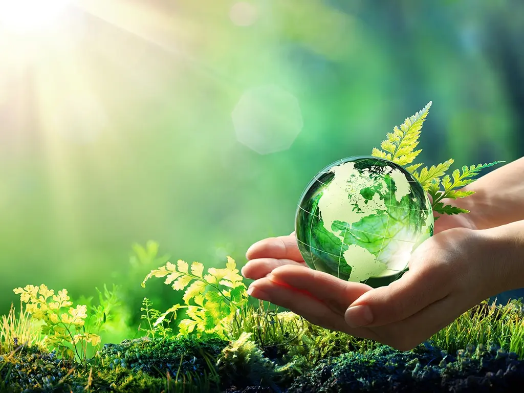 Top Alternatives To Save Natural Resources In Real Estate