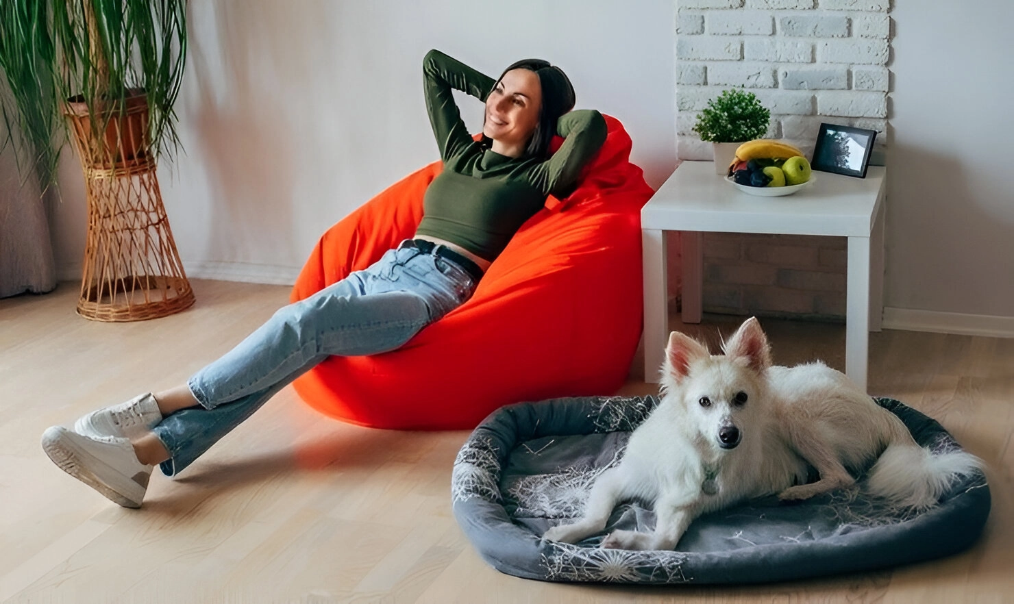 Pet-Friendly Homes Designed with Your Furry Friends in Mind