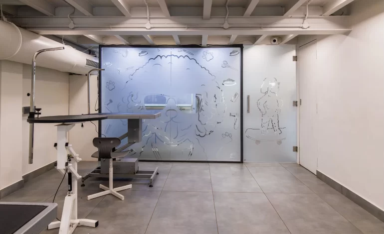 Celebrate World Animal Day at Zane’s Cafe & Pet Spa – Wellness for Your Pets, Coffee for You 